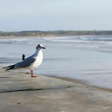 Views Elegant & Modernised 5bd Period Feriehus Waterford