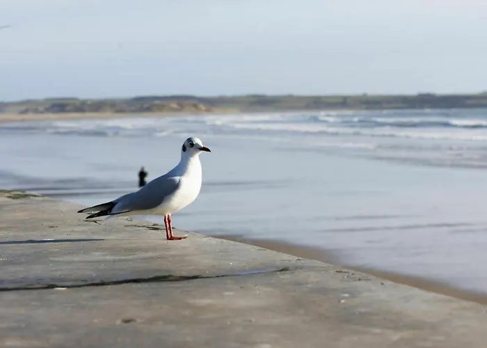 Views Elegant & Modernised 5bd Period 別荘 ウォーターフォード